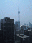 CANADA 2005 - 026.gif
